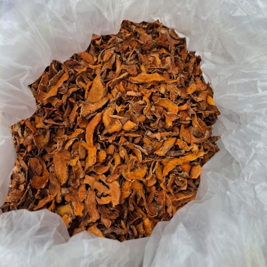 WhatsApp Image 2026-02-24 at 21.51.09